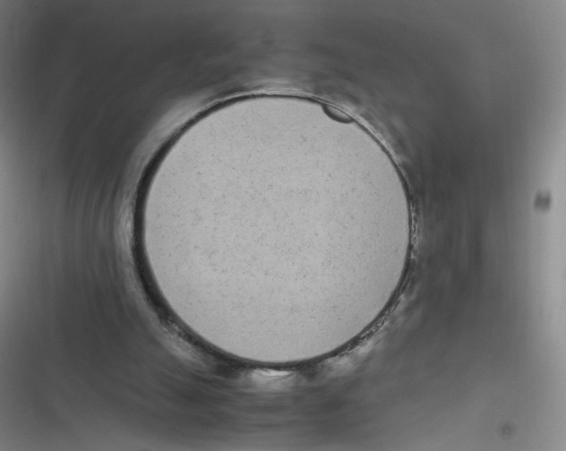 X0000116840055201001081507