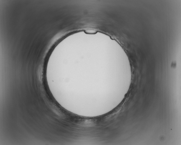 X0000116840056201001081507