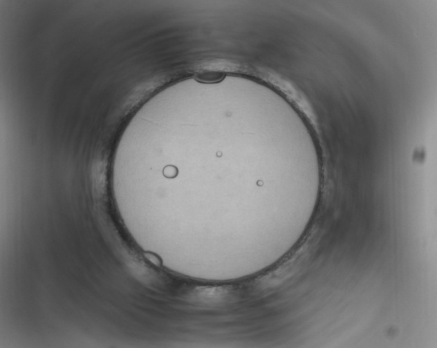 X0000116840057201001081507