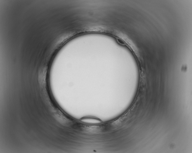 X0000116840058201001081507