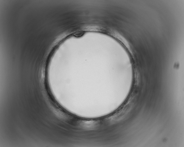 X0000116840059201001081507