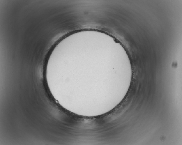 X0000116840060201001081507