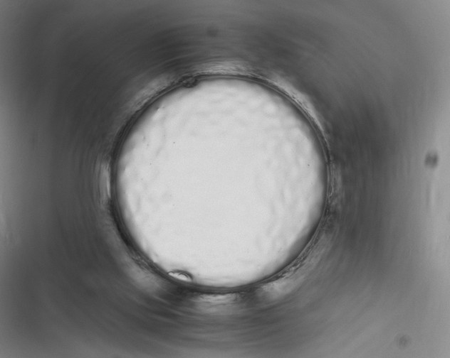 X0000116840061201001081507