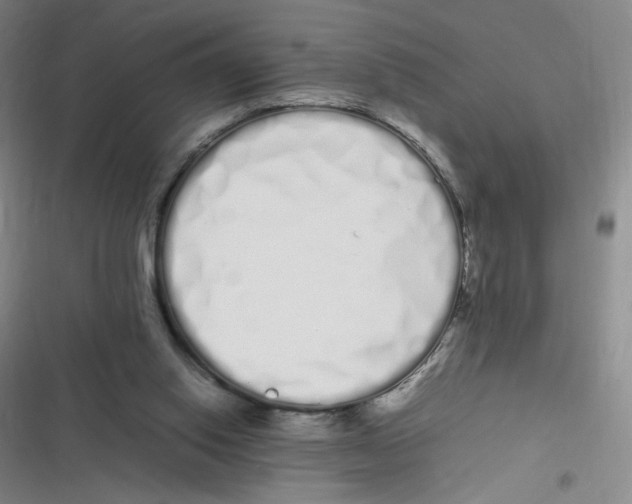 X0000116840062201001081507