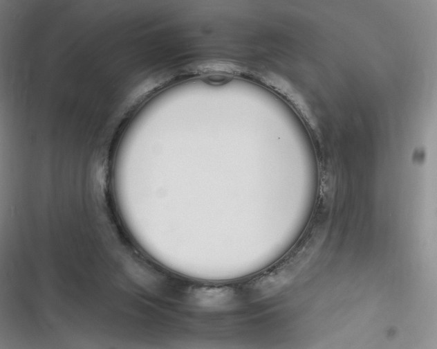 X0000116840063201001081507