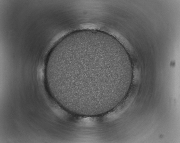 X0000116840064201001081507