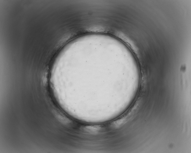 X0000116840065201001081507