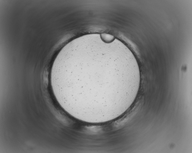 X0000116840067201001081507