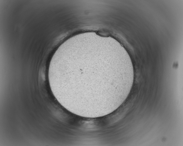 X0000116840068201001081507