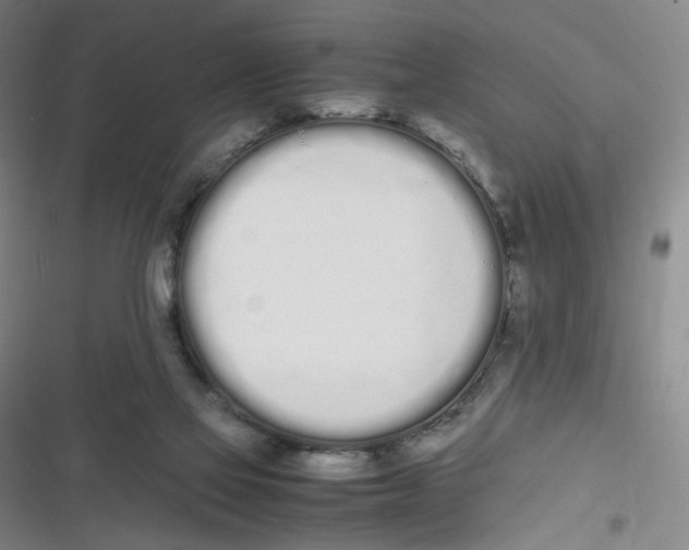 X0000116840069201001081507