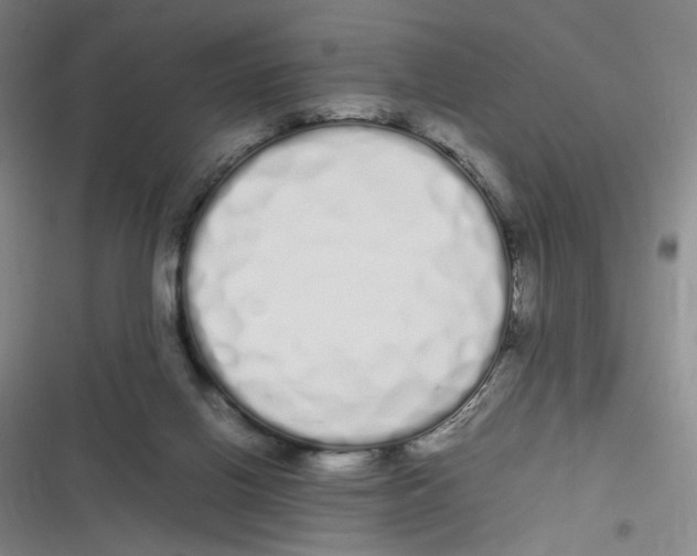 X0000116840070201001081507