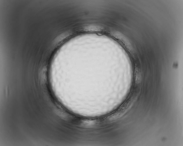 X0000116840071201001081507