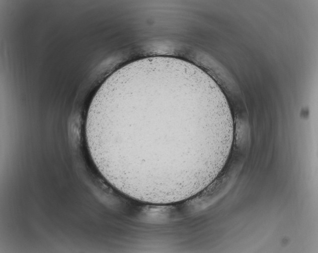 X0000116840072201001081507