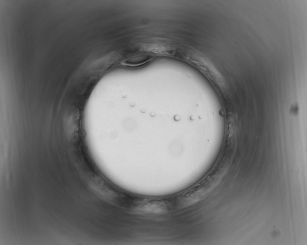 X0000116840073201001081507