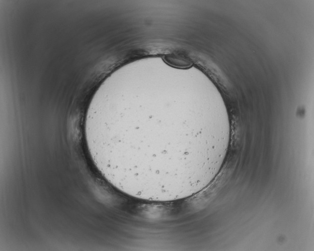 X0000116840074201001081507