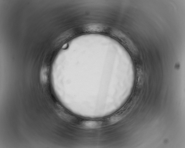 X0000116840075201001081507