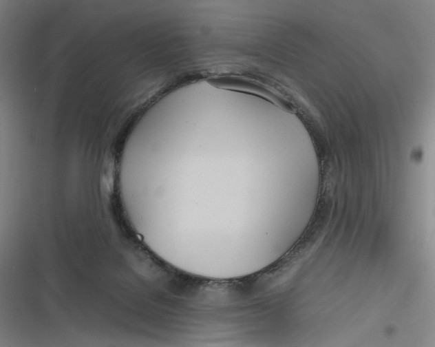 X0000116840076201001081507