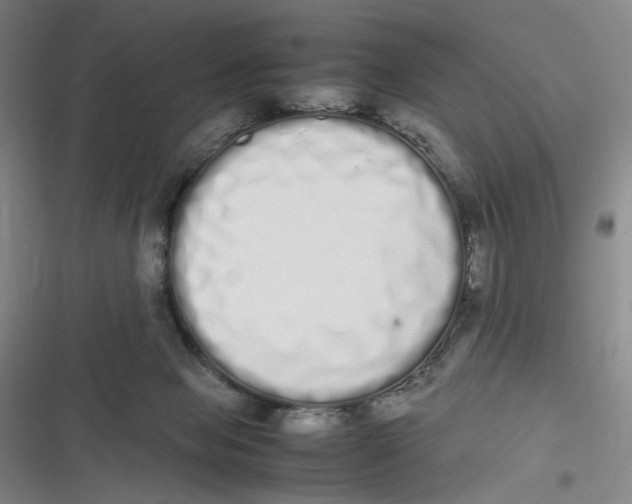 X0000116840077201001081507