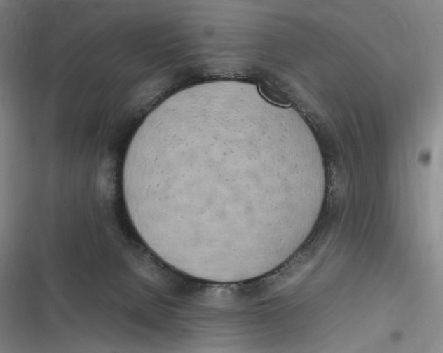 X0000116840080201001081507