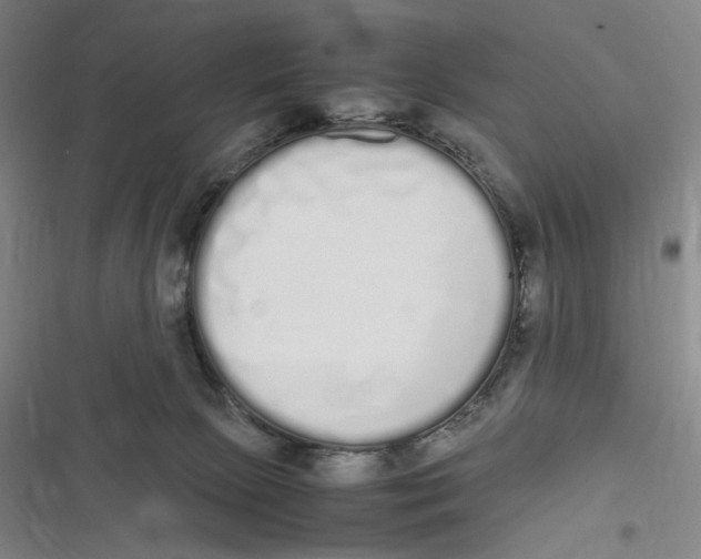 X0000116840081201001081507