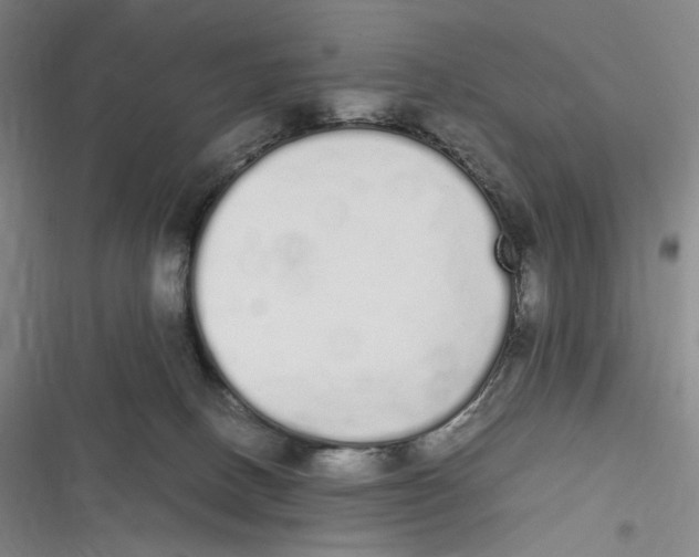 X0000116840082201001081507