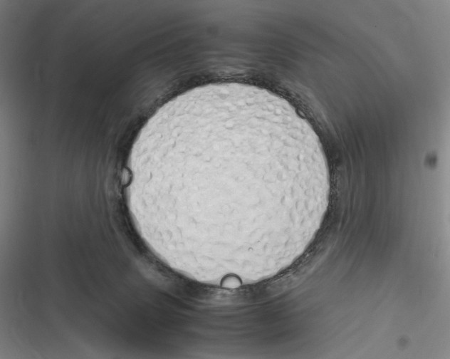 X0000116840083201001081507