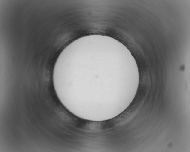 X0000116840084201001081507