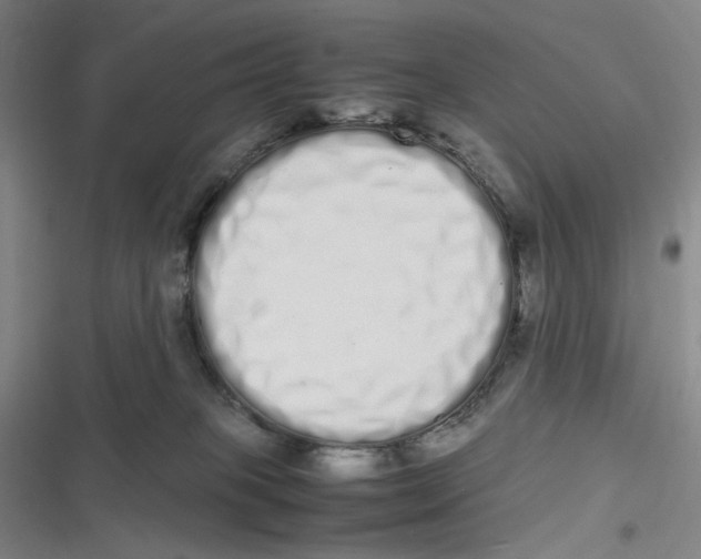 X0000116840085201001081507