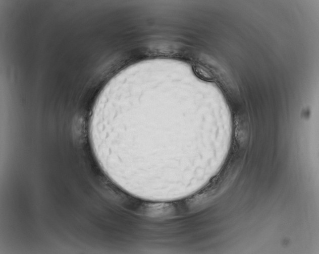 X0000116840087201001081507