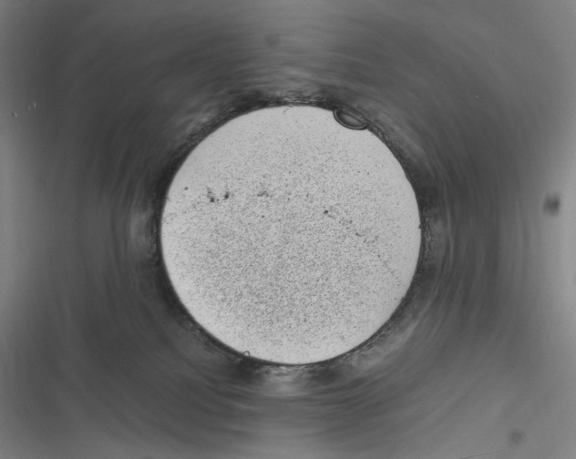 X0000116840088201001081507