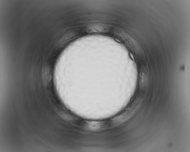 X0000116840091201001081507