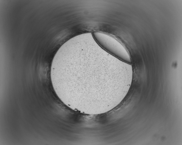 X0000116840092201001081507