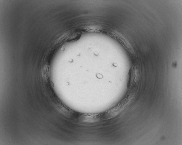 X0000116840093201001081507