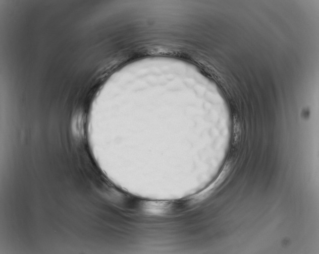 X0000116840094201001081507