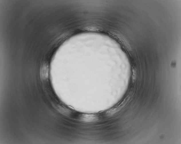 X0000116840095201001081508