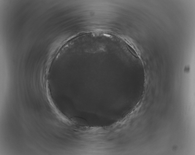 X0000116840097201001081507