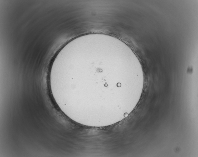 X0000116840098201001081507