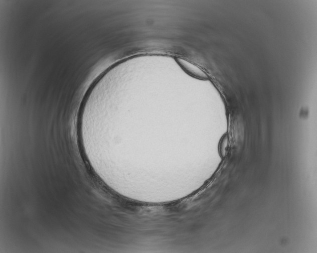 X0000116840099201001081507