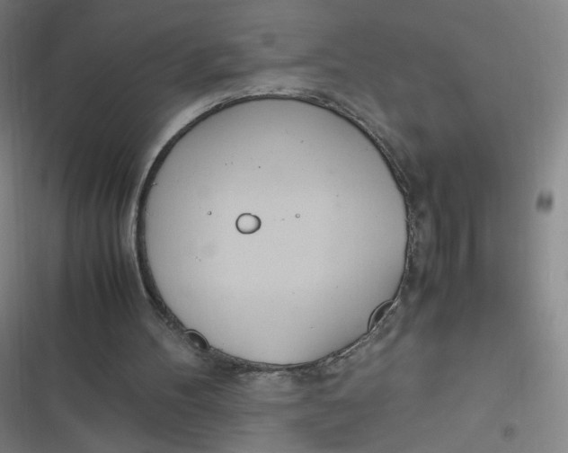 X0000116840100201001081507