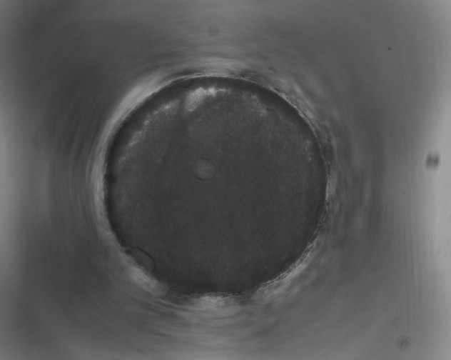 X0000116840101201001081507