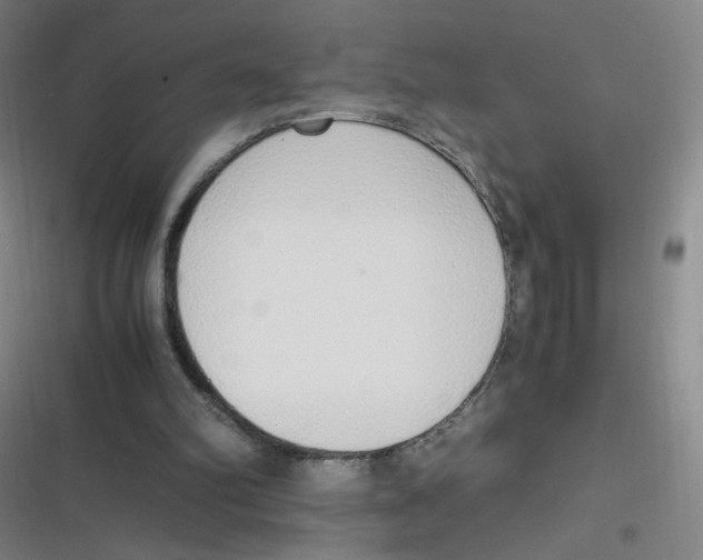 X0000116840102201001081507