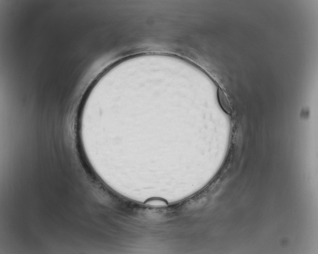 X0000116840103201001081507