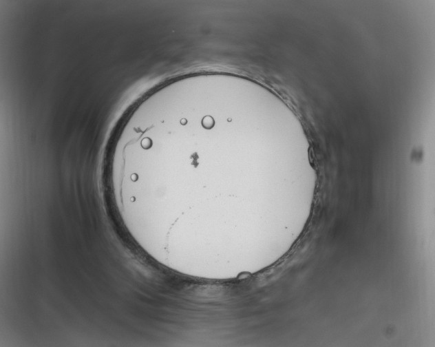 X0000116840104201001081507