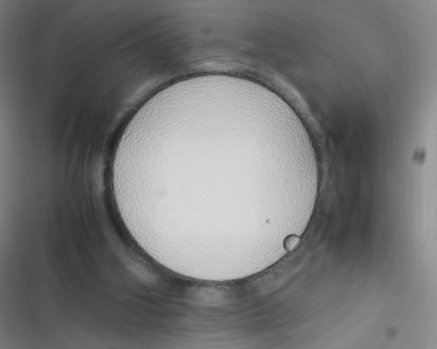 X0000116840106201001081507