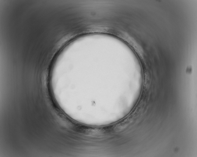 X0000116840107201001081507