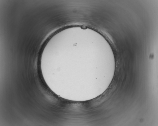 X0000116840108201001081507