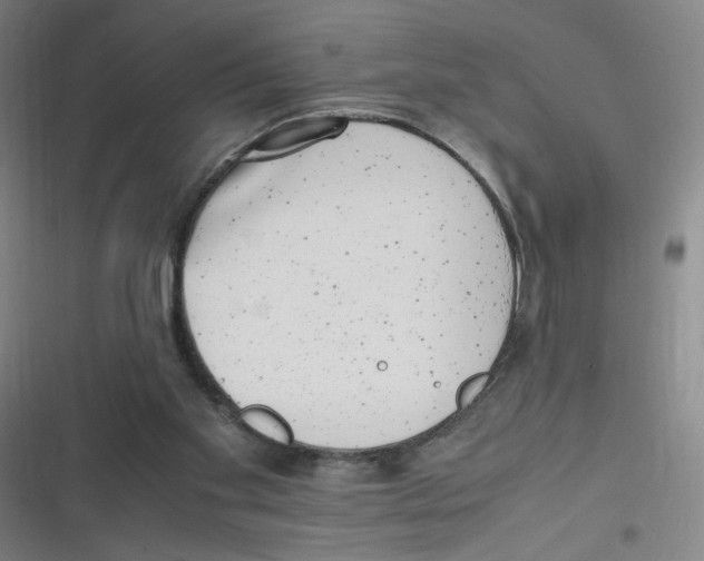 X0000116840109201001081507