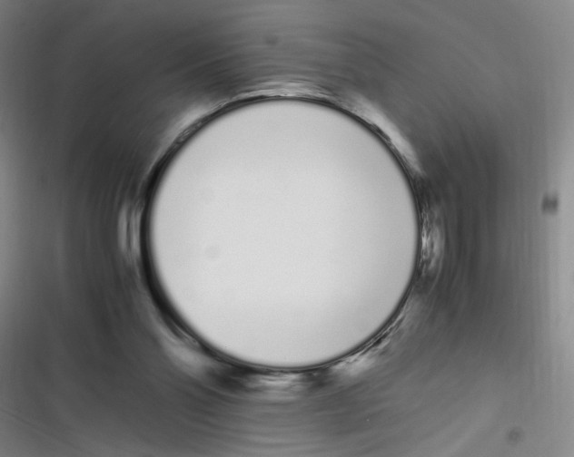 X0000116840110201001081507