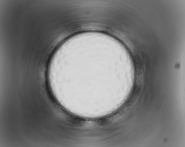 X0000116840111201001081507