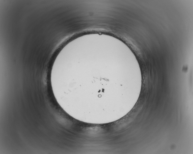 X0000116840112201001081507